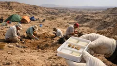 Dientes fósiles en Etiopía: el hallazgo que sugiere varias especies humanas al mismo tiempo