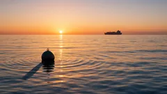 Cómo cantan las ballenas sin cuerdas vocales y qué nos dice del océano