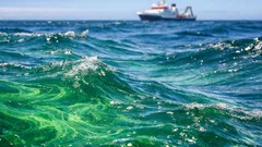 Cómo los terremotos submarinos pueden detonar floraciones de fitoplancton en el Océano Austral